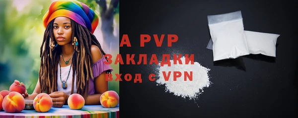 твердый Абаза