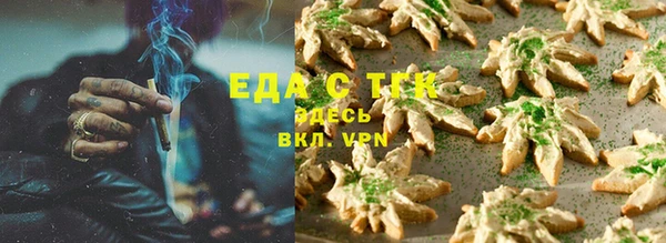 твердый Абаза