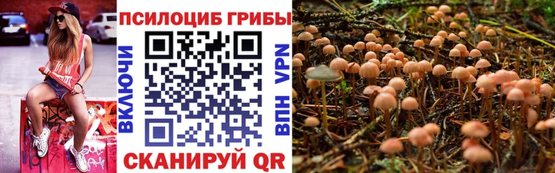 наркота  Устюжна  Псилоцибиновые грибы ЛСД 